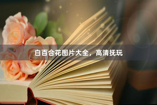 白百合花图片大全，高清抚玩